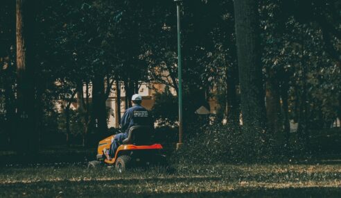 Har du givet din plæneklipper olie?